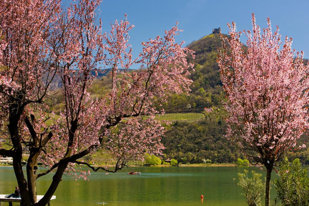 Seegarten 4* Caldaro