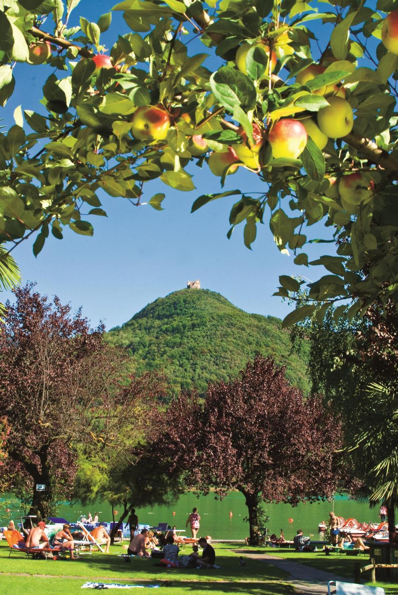 Hotel Seegarten 4*